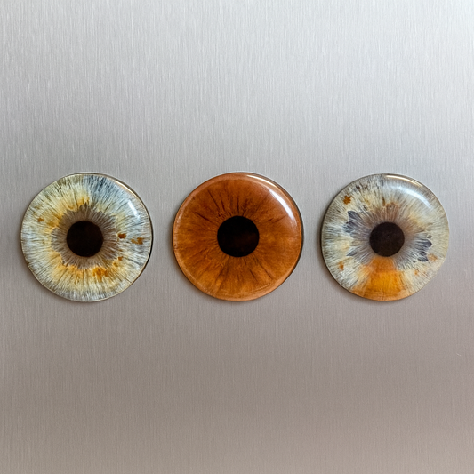 2.28" Custom Circle Magnet x3