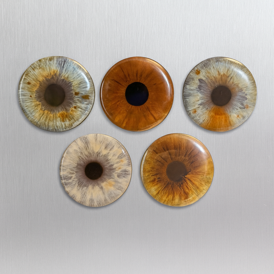 2.28" Custom Circle Magnet x5