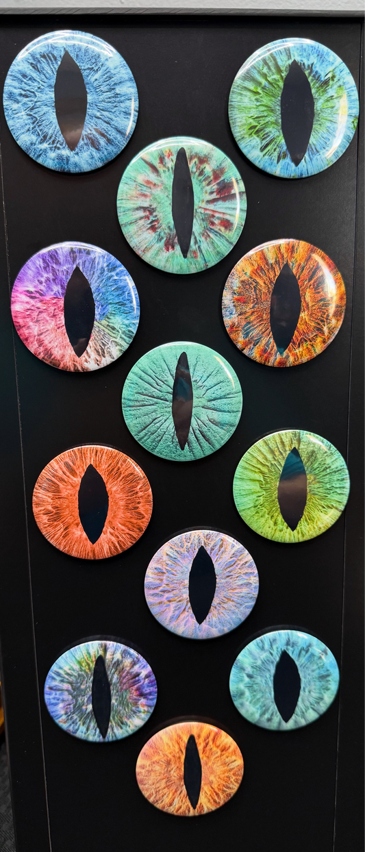 12 round dragon eyes magnet collection